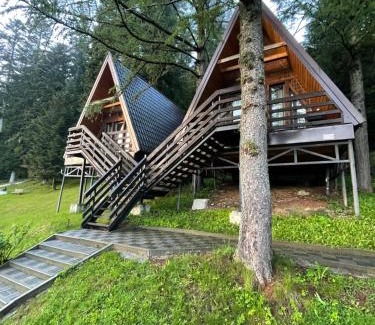 Staryava Cabina | Karpatskyy