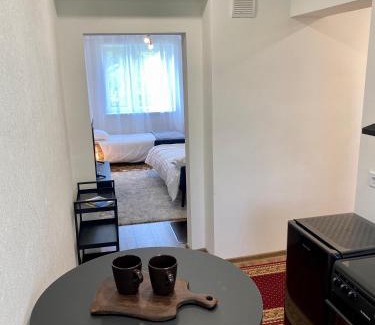 Antsla Parish Apartamento | Karula Stay 1 Room City Apartment