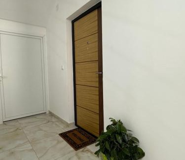 Golubac Apartamento | Kashmir