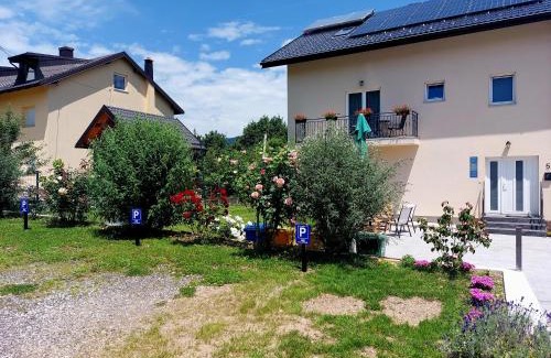 Korenica Casa | Katarica