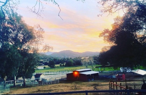 Alpine Cabina | Katy’s Farm