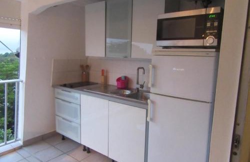 Pointe-a-Pitre Apartamento | Kazasoleï