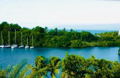 Pointe-a-Pitre Apartamento | Kazasoleï