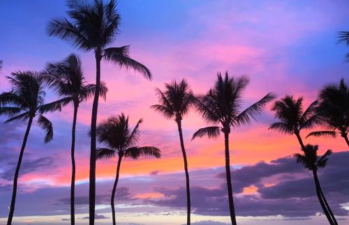 Honokowai Apartamento | KBM Resorts FREE CAR Lokelani Oceanfront 2-Bedroom Condo Recently Remodeled includes Beach Gear LOK-B203