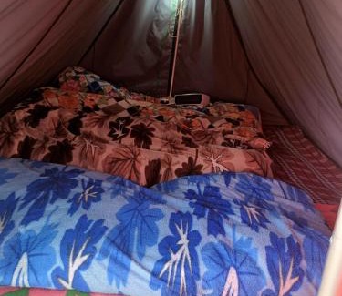 Kedarnath Otro | Kedar valley camping