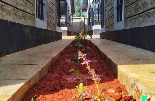 Nyeri Hotel | KEDOVO COTTAGES