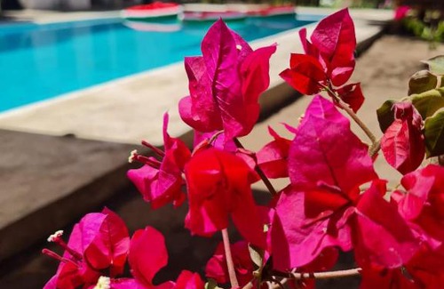 Guatemala Hotel | Keiki Kai Ecocabañas
