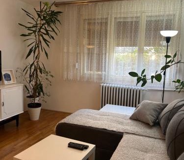 Gornji Milanovac Apartamento | Keližual