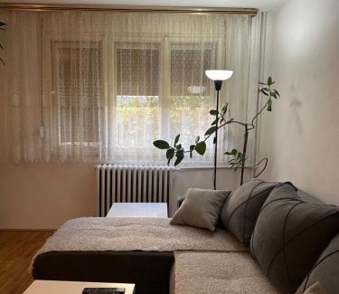 Gornji Milanovac Apartamento | Keližual