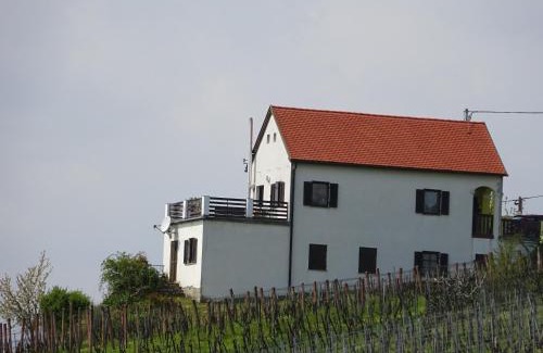 Eisenberg an der Pinka Casa | Kellerstöckl Eisenberg/Pinka Weiner