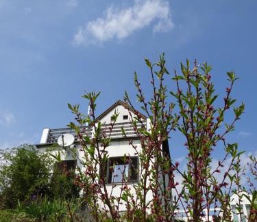 Eisenberg an der Pinka Casa | Kellerstöckl Eisenberg/Pinka Weiner