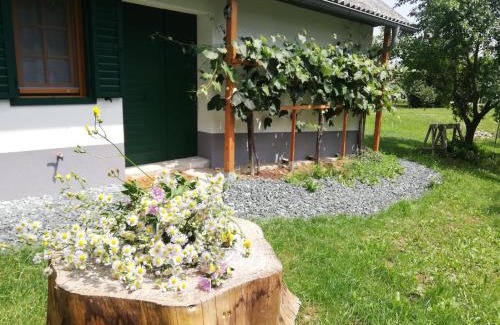 Nagysaroslak Casa | Kellerstöckl am Sauerberg 20