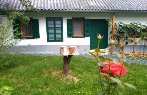 Nagysaroslak Casa | Kellerstöckl am Sauerberg 20
