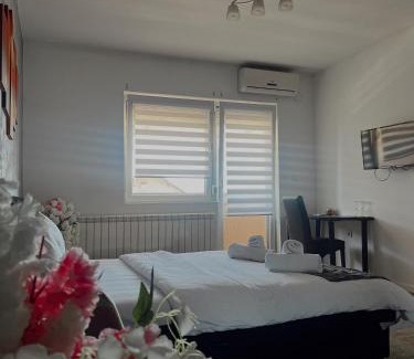 Zemun Complejo | Kengur Resort
