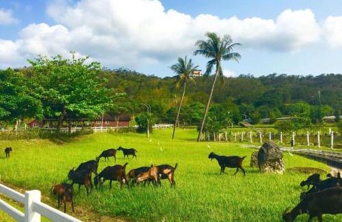 Manzhou Complejo | Kentington Resort