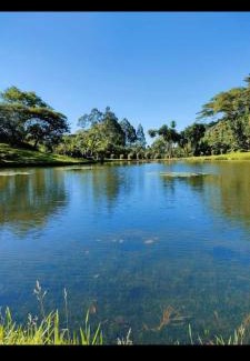 Kapsabet Otro | Kenya Kapsimotwa Gardens