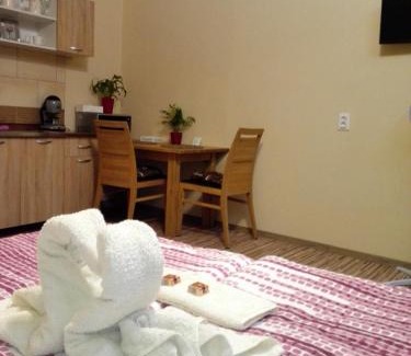 Gyula Apartamento | Kerékvár apartman Gyula