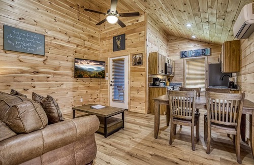 Cosby Cabaña | Kerri's Cottage, Pickleball Court, Creek, WIFI, Mountain Views, No Cleaning Fee