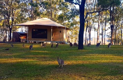 Scenic Rim Regional Cabina | Ketchup's Bank Glamping