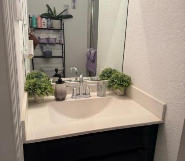 Homestead Casa | Keys & Everglades Hideaway Shared Space