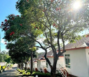 Thung Samo Complejo | Khao Kho Wanwarn