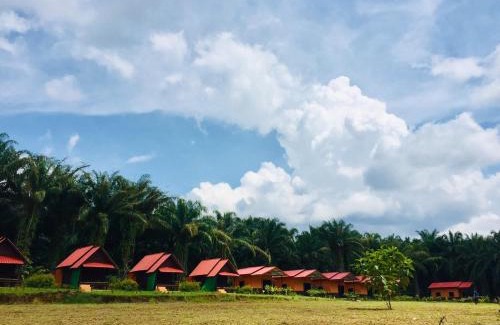 Khlong Sok Complejo | Khao Sok Evergreen House