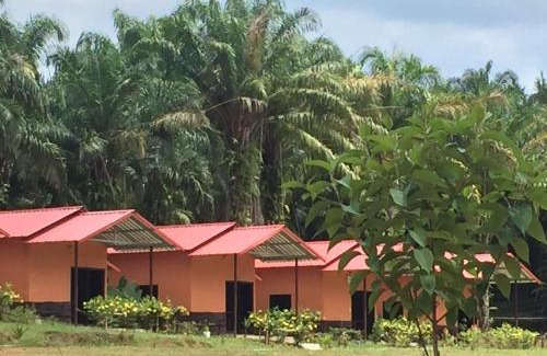 Khlong Sok Complejo | Khao Sok Evergreen House
