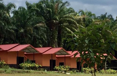 Khlong Sok Complejo | Khao Sok Evergreen House