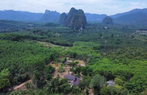 Khlong Sok Complejo | Khao Sok Hill Top Resort