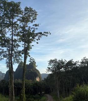 Khlong Sok Complejo | Khao Sok Hill Top Resort
