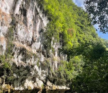 Khlong Sok Complejo | Khao Sok Hill Top Resort