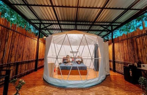 Khlong Sok Complejo | Khao Sok River Canoe&Resort