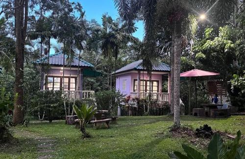 Phanom Casa | Khaosok gallery & camp