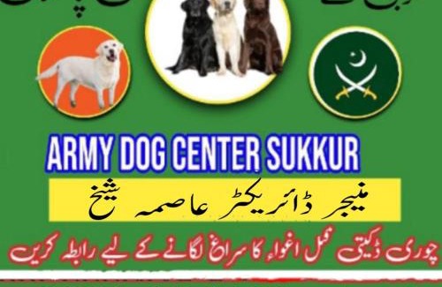 Jhang Sadar Otro | Khoji Dog Center Jhang