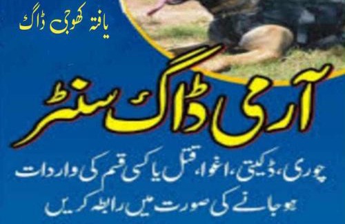 Punjab Casa | Khoji Dog Center Mianwali