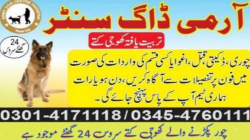 Punjab Casa | Khoji Dog Center Mianwali