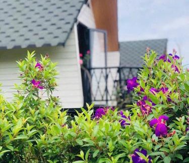 Madagui Town Cabina | Khu Nghỉ Dưỡng Lộc Nam Hill Bảo Lộc