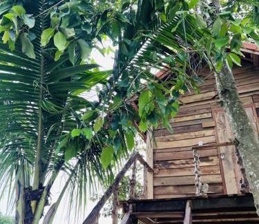 Chau Duc Cabina | Khu Nghỉ dưỡng Sinh thái Nhà Lụa Retreat