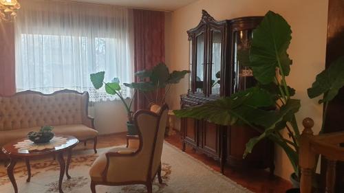 Kikinda Apartamento | Kikinda peace oaza