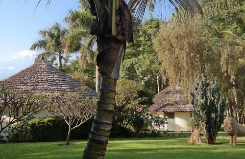 Moshi Cabina | Kilemakyaro Mountain Lodge