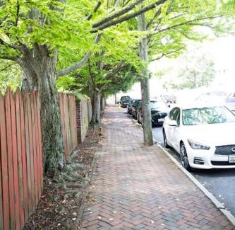 Historic District Apartamento | King George Downtown Annapolis Getaway