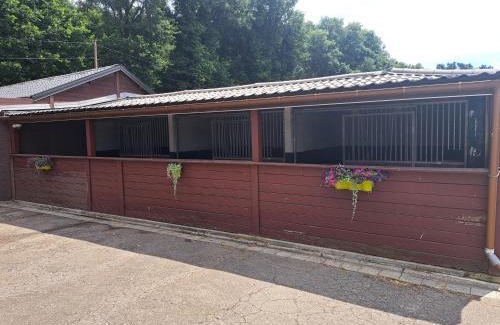 Zutendaal Apartamento | King of Gold Stables appartement met stalling voor 5 paarden