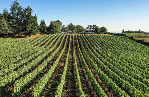 Newberg Casa | King's Queen