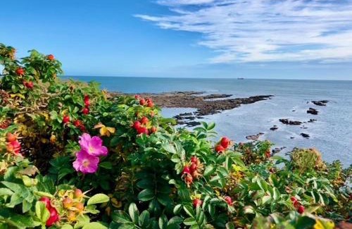 Cullercoats Apartamento | King's Seafront Place