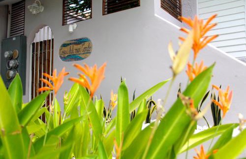 Ocean Park Apartamento | King Sling Room, Between Pool And Jacuzzi - Enjoy!