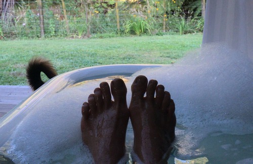 Katikati Cabaña | Kingfisher cottage @ Villa Vie country estate. Outdoor bath, fire pit, river