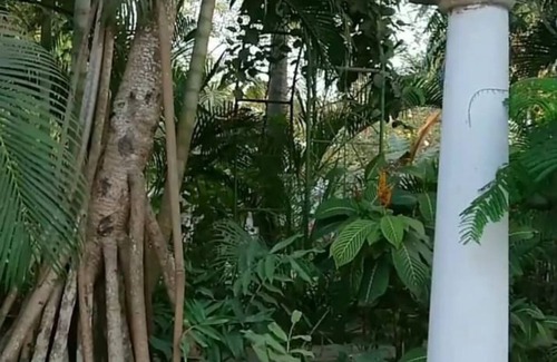Ukonga Cama Y Desayuno | Kiota Jungle Homestay