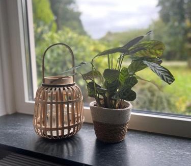 Schijf Apartamento | Kip en Hei