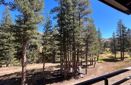 Kirkwood Casa | Kirkwood Studio Full Kitchen & Meadow Balcony