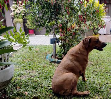 Tramandai Casa | Kitnet da Elô